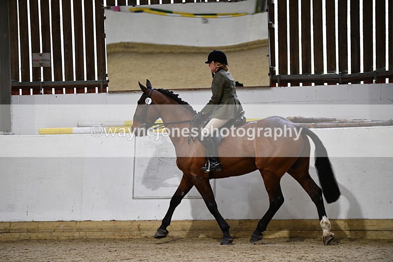 WJ5_9002 - Class 15 Ridden Show Horse