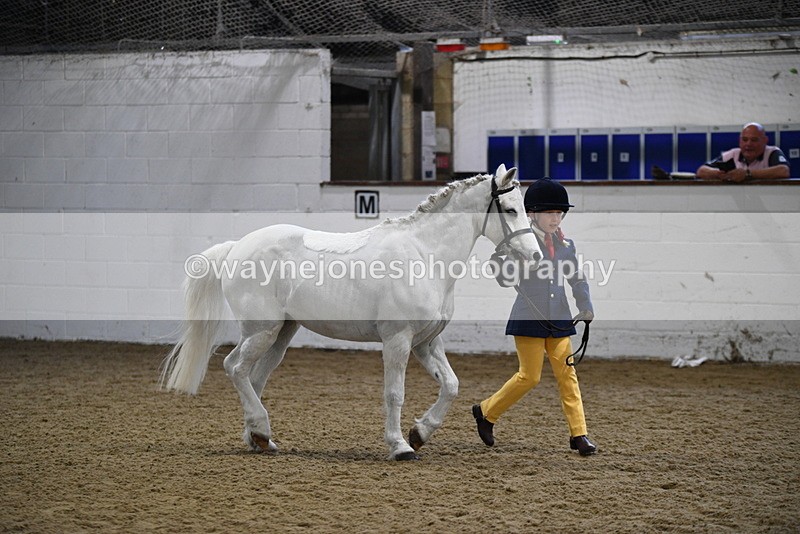 WJ5_4648 - Class 3 Part Bred In hand