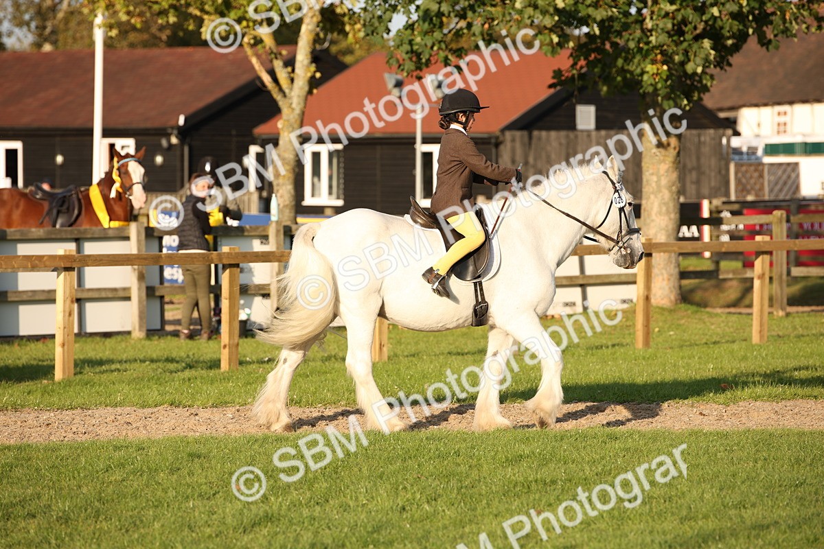 SBM_54420 - S27 - Mature Veteran - Ridden