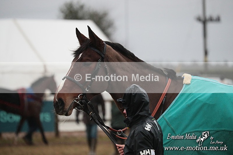 PtP 260125 986 - Cocklebarrow Point-to-Point racing with the Heythrop Hunt 26/01/25