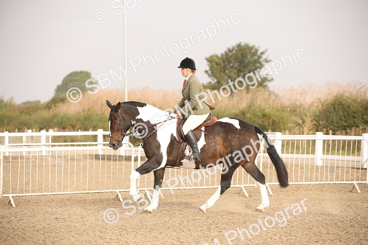 SBM_10223 - Class 402 Riding Club Horse