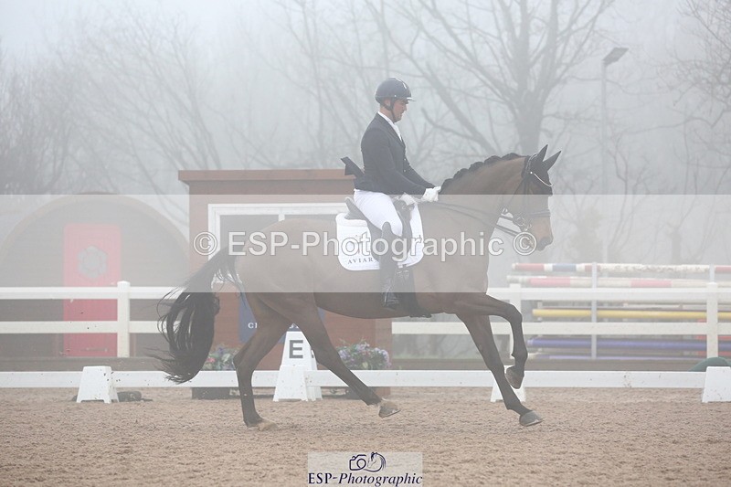 240217A-140319-03990 - 172-Jezz.Palmer-Honey.D'Or