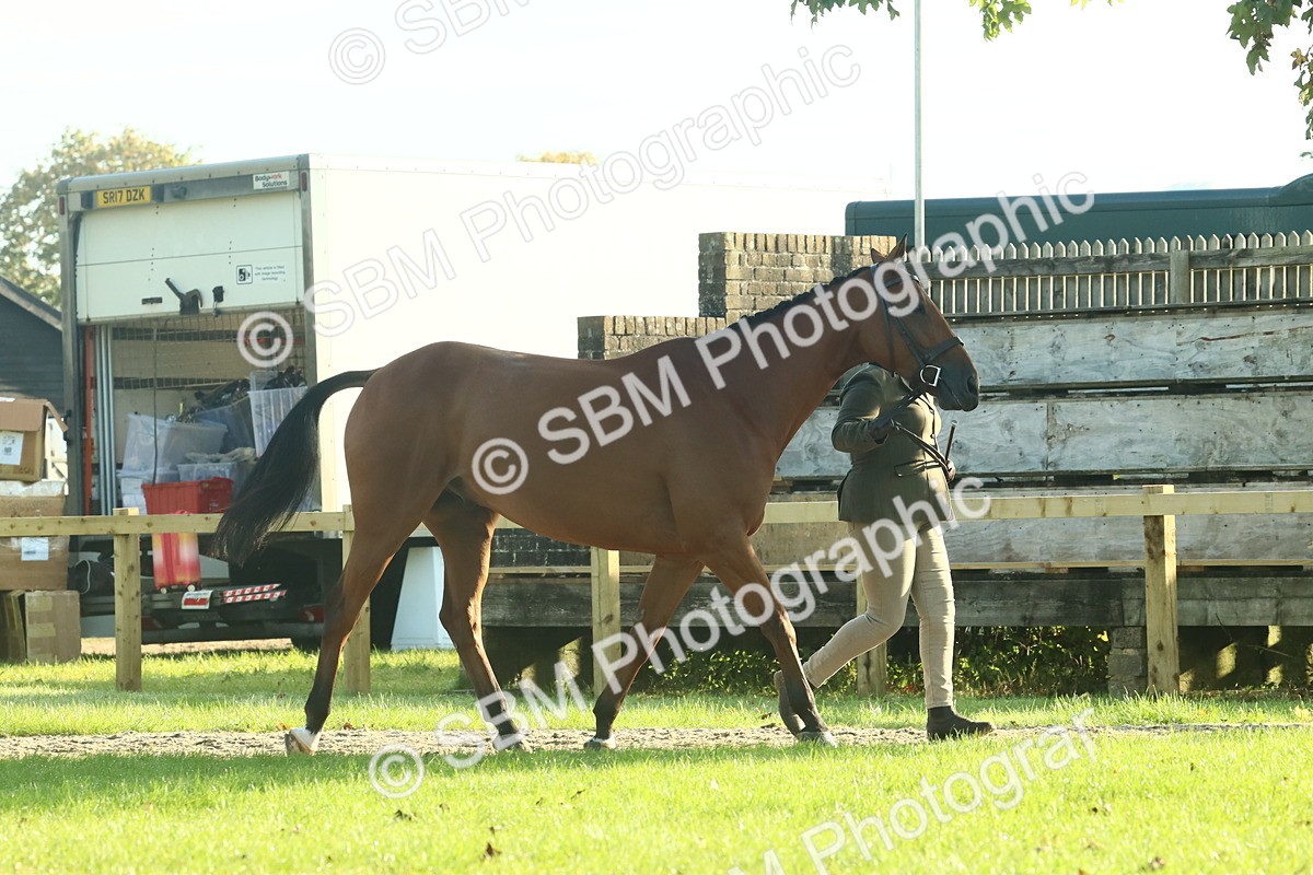 SBM_58557 - S37 - Starters In Hand Showing