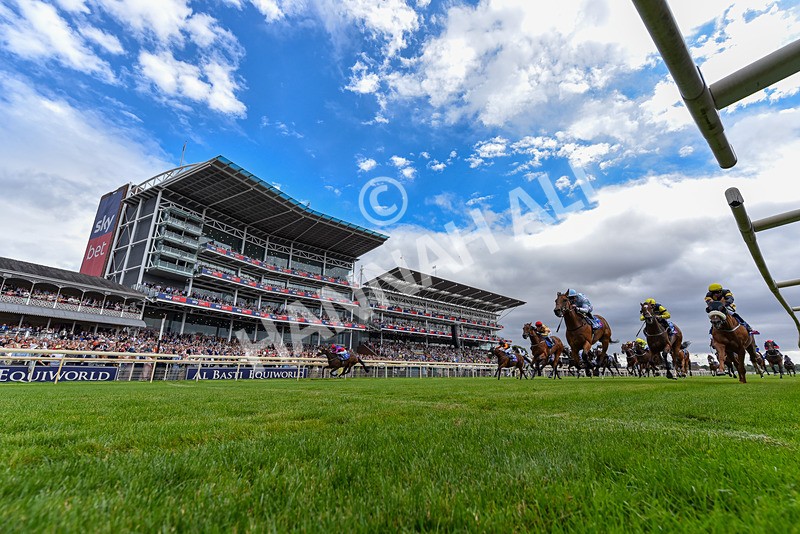 250726-Race 2-Stratusnine-3992 - Race 2 14.00pm Sky Bet Dash