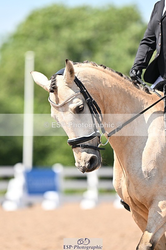 250620-145946-03838 - BD Cls 7 - Elementary 5, 14.40 to End