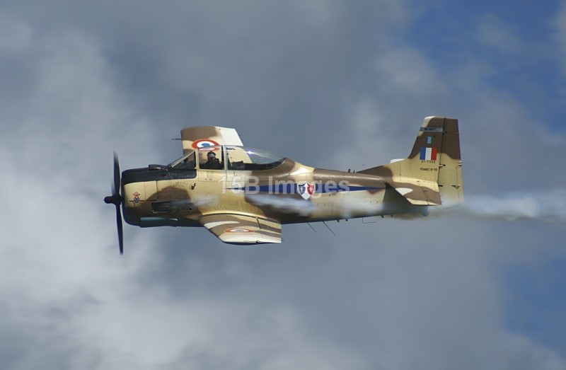 P1101 - Planes