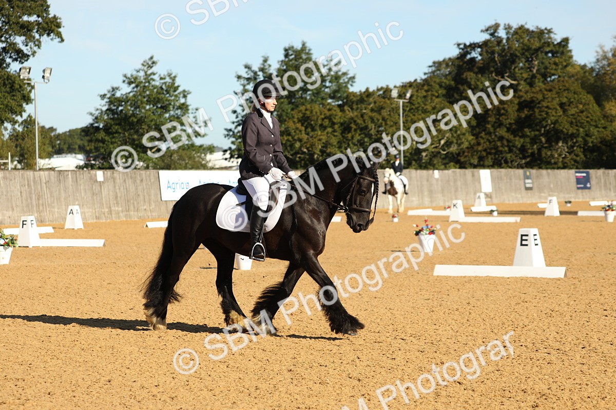 SBM_16431 - D10 - Small Tour Championship - Prelim 2