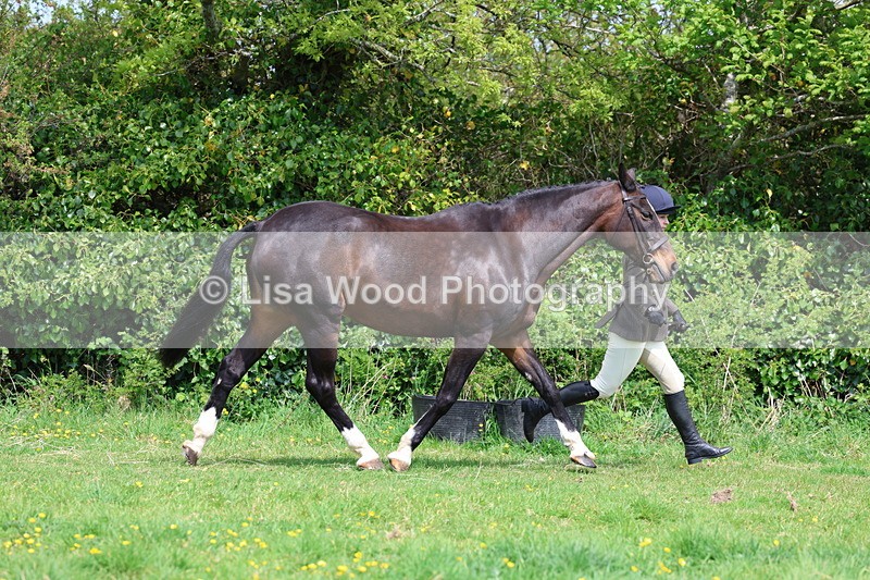 3E7A0475 - Class 20: Sports Horse