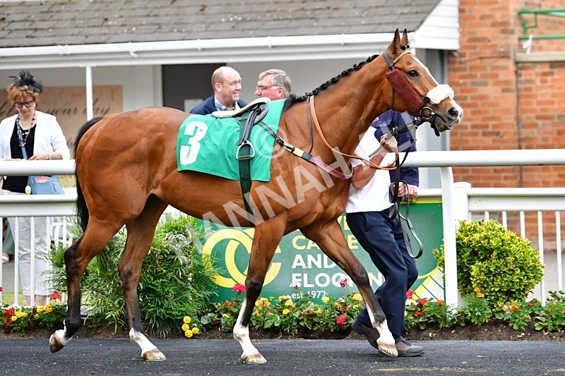 170625-Race 6-Kings Crown-4126 - Race 6