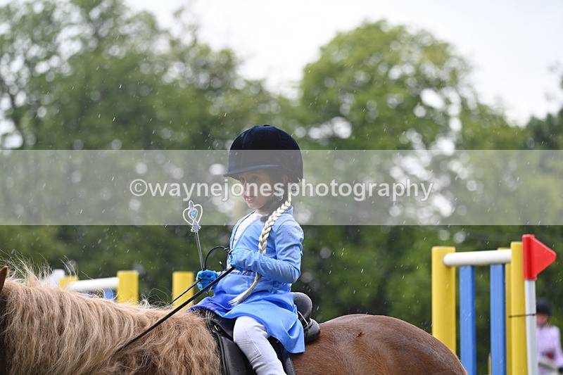 WJ6_9316 - Class 11 Fancy Dress