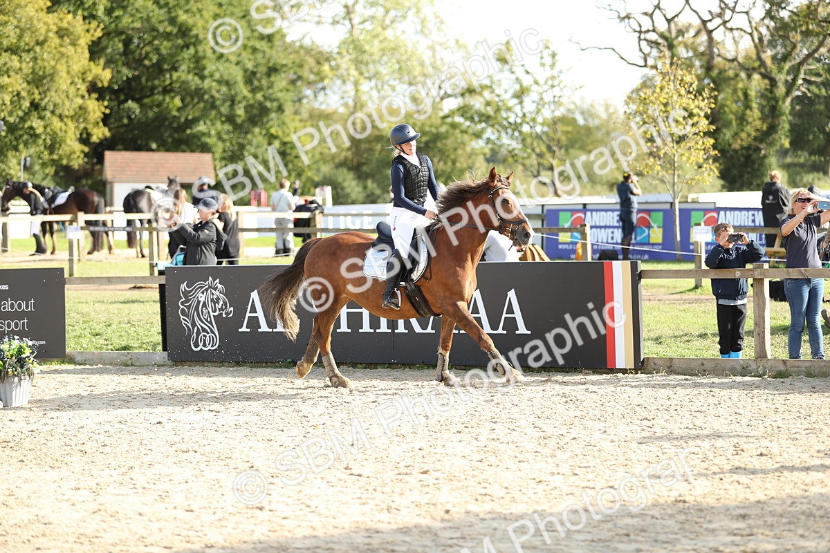 SBM_49682 - J22 - Junior Horse 65cm Championship
