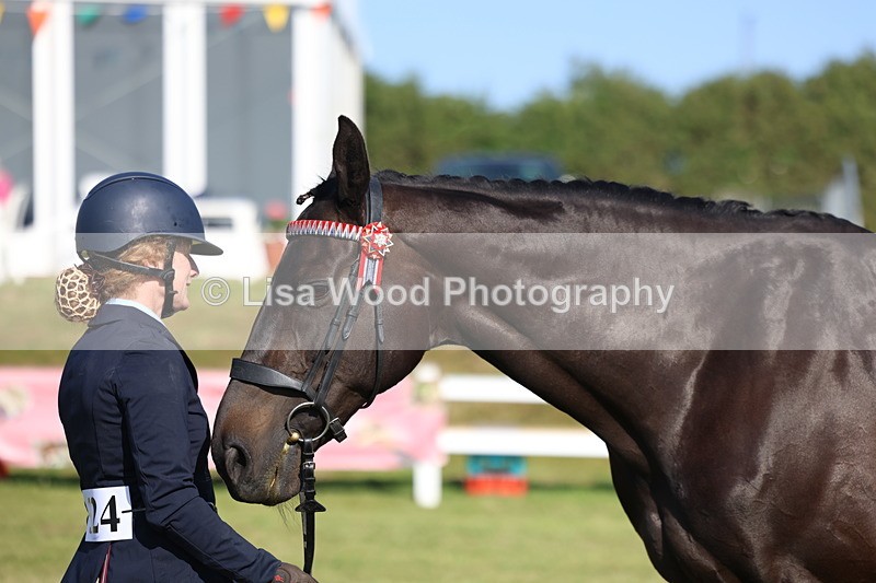 3E7A5716 - Class 2: Rising Star Large Hack/Riding Horse