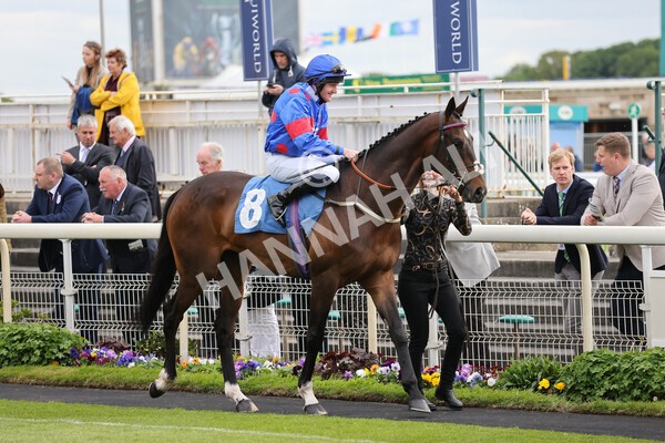 yr12052022r7-2 - Race 7 5.15pm Fidomoney Stakes