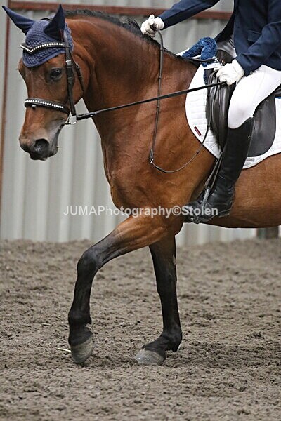SIAL4954 - CAbin Dressage 5th july 2025