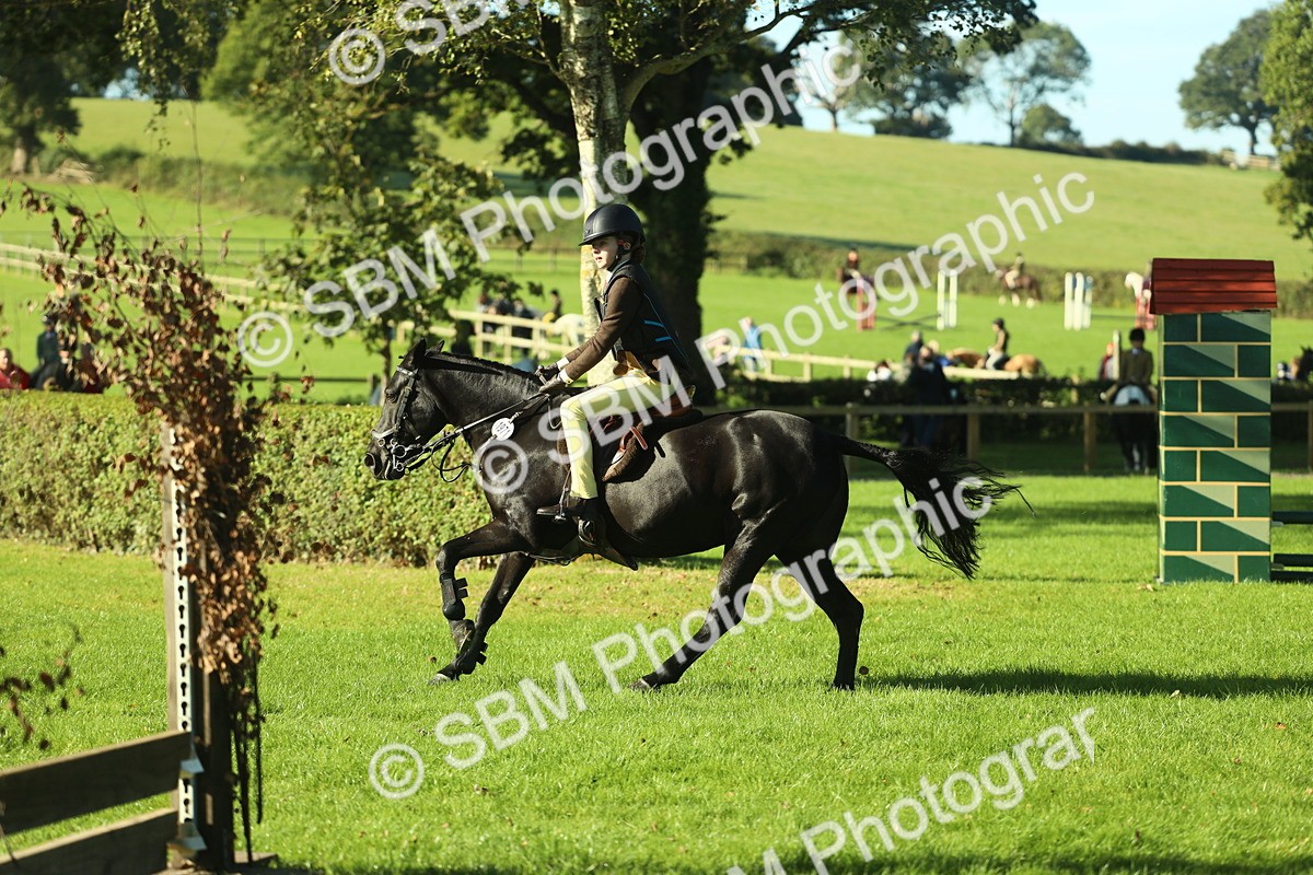 SBM_36324 - S29 - Novice & Newcomers Working Hunter Pony