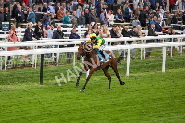 120724-Race 3-Royalty Bay-1679 - Race 3 3.15pm William Hill Keep Your Raceday Positive Irish EBF Fillies' Novice Stakes