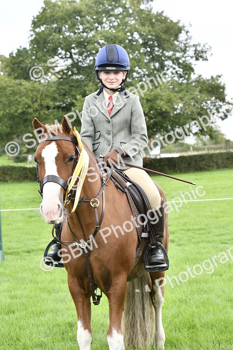 SBM_38299 - S31 - Novice & Newcomer Working Hunter Pony