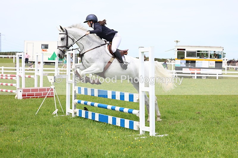 3E7A1532 - Class 13: Senior British Novice/90cm open