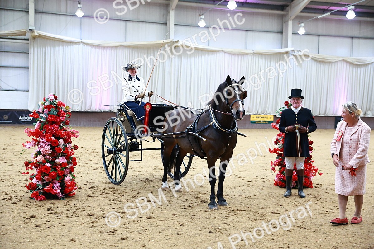 SBM_000227 - Class 3 - Alison Thomas Memorial Lady Whip