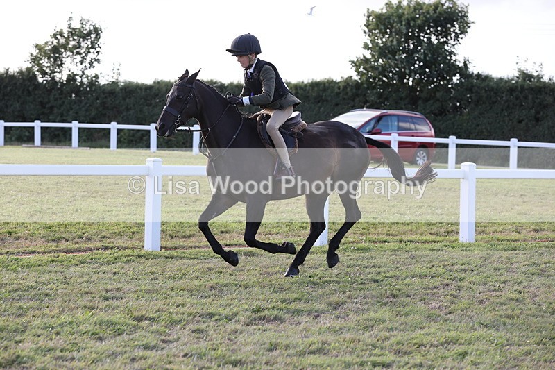 JPP_3756 - Working Hunter Championship