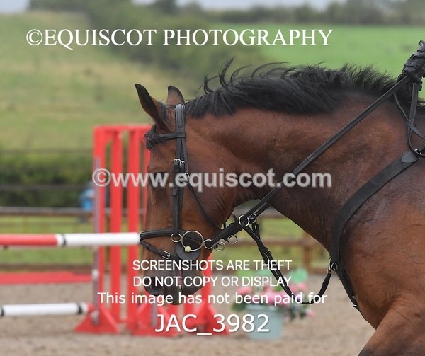 JAC_3982 - CLASS 4 Senior British Novice/ 90cm Open