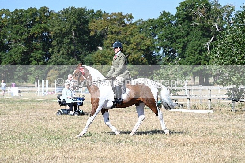 WJ7_3260 - Class 8 Ridden Tack & Turnout