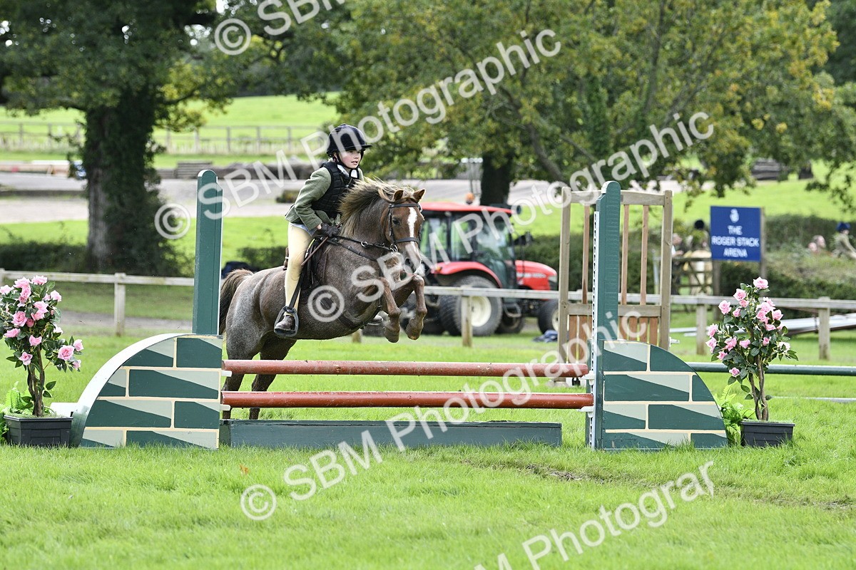 SBM_41260 - S32 - Mountain & Moorland Working Hunter Pony