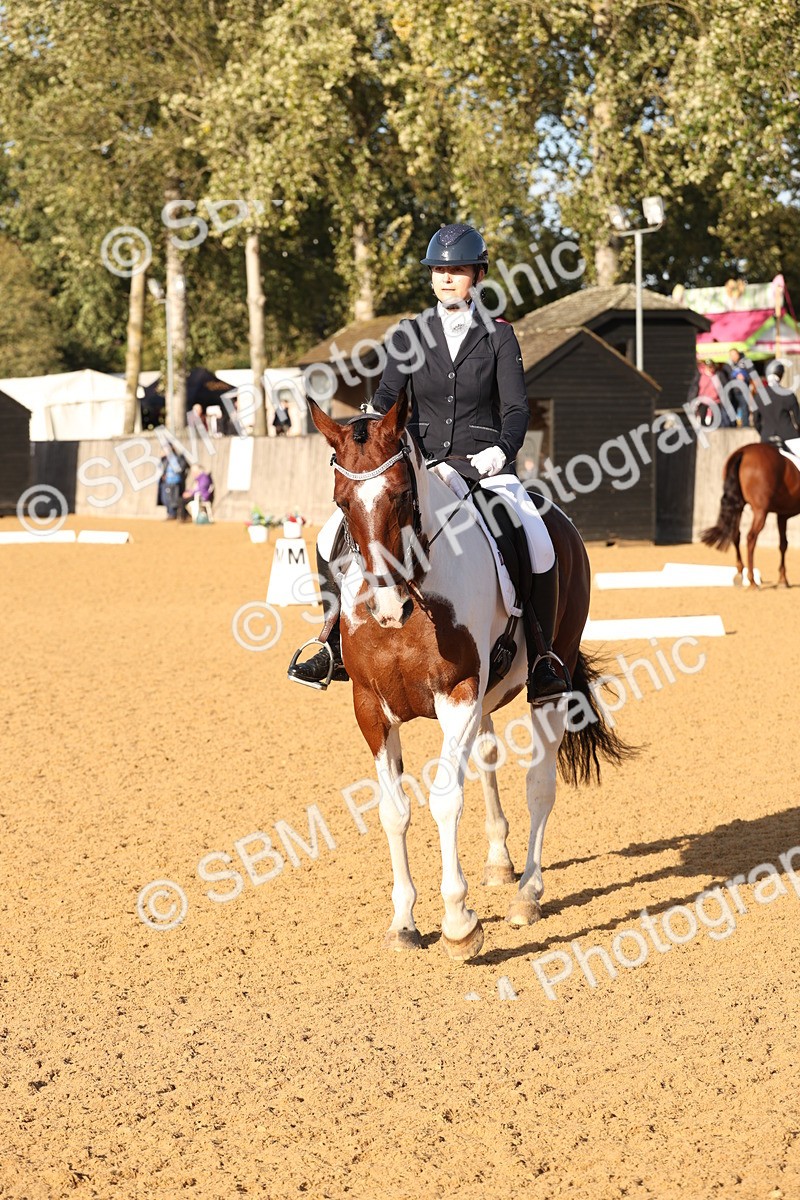 SBM_28232 - D20 - Grand Tour Championship Elementary 3