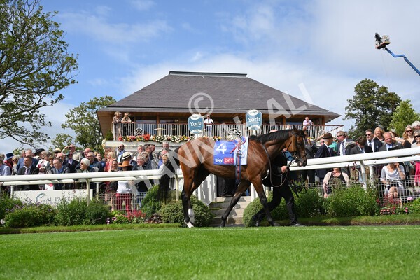 yr18082021r3-1 - Race 3 3.00pm Sky Bet Great Voltigeur Stakes