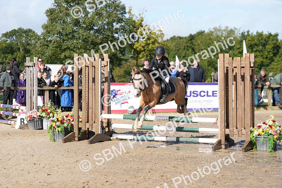 SBM_38380 - J6 - Junior Pony 55cm Championship