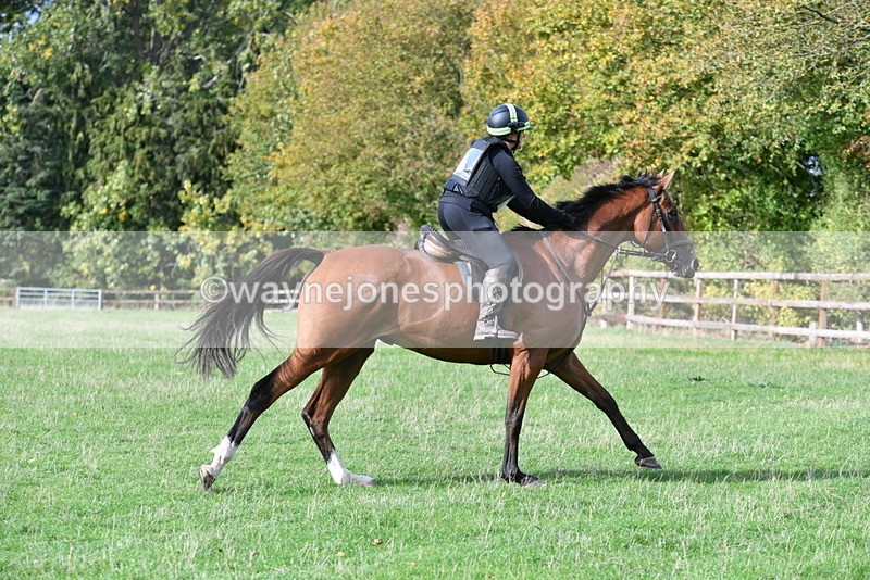 WJ5_1141 - Time 14:29 to 15:31