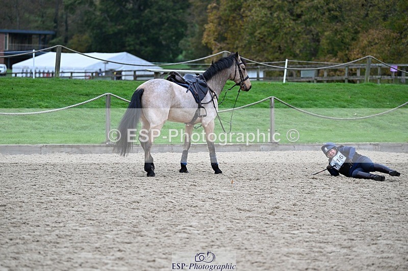 241116-105711-00728 - Cls 2 80-85cm Start to 11.30