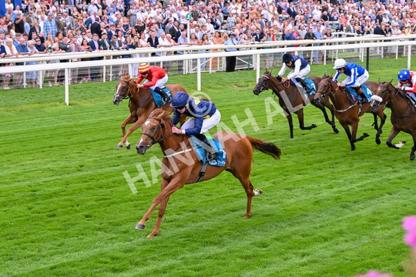 260725-Race 1-Golden Palace-7106 - Race 1 1.25pm £100K ITV7 Jackpot Today EBF Fillies' Novice Stakes