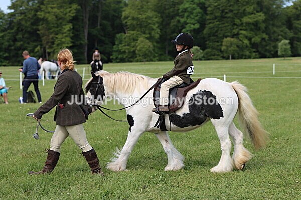 IMG_2290 - Working Hunter
