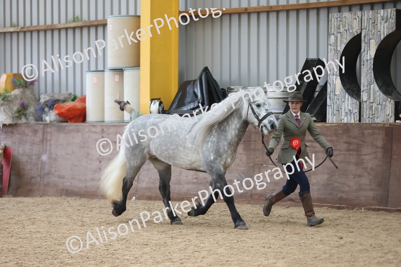 20251109-1119 - Championship