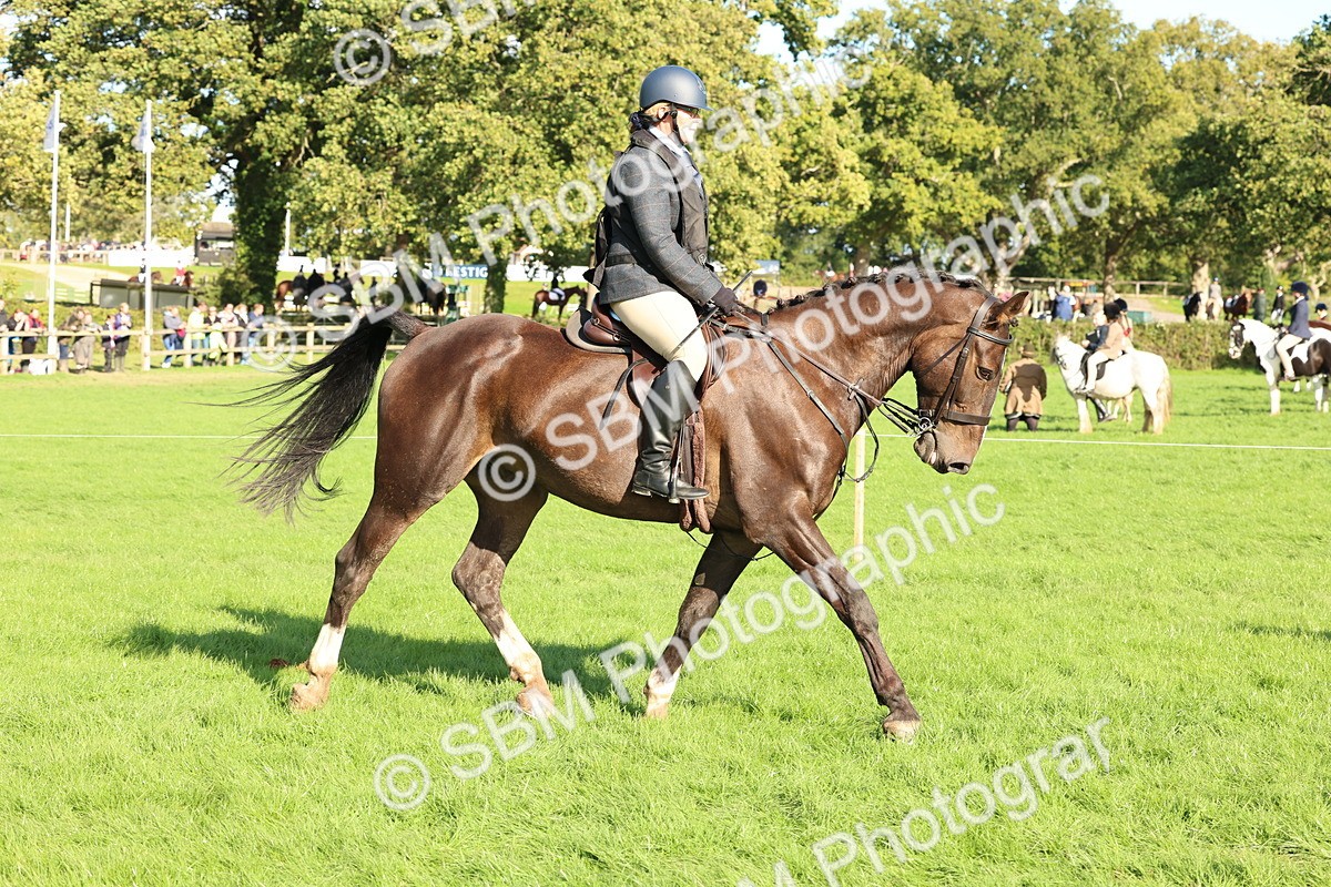 SBM_50151 - S34 - Novice & Newcomers Working Hunter