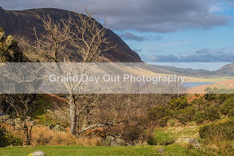 Buttermere-2 - High Terrain Events Buttermere Trail Run Sunday 26th March 2023