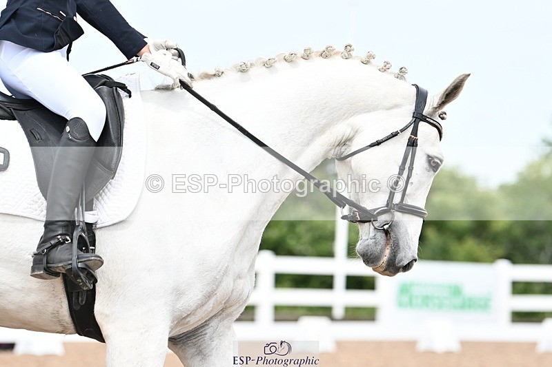 250620-121354-02064 - BD Cls 5 - Novice 6, 12.10pm to End