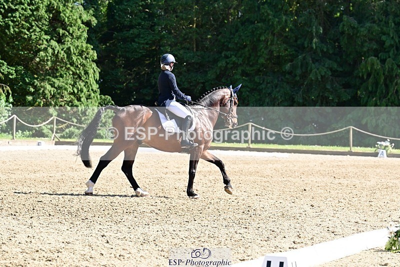 260529A-160810-11342 - C-386-Millie.Juleff