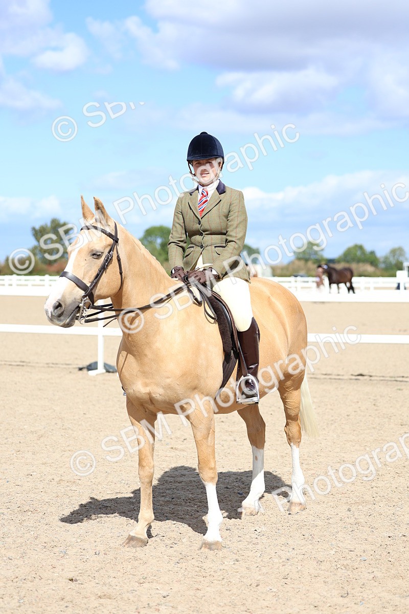 SBM_13313 - Class 311 - Ridden Show Pony Show Hunter Pony