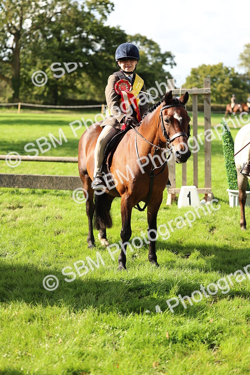 SBM_46410 - Working Hunter Pony Supreme Championship