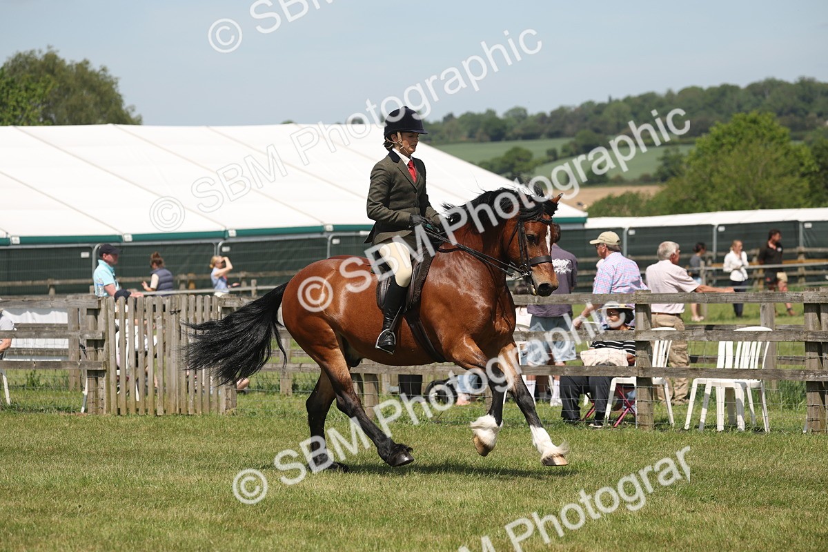 SBM_06926 - Class 26-30 - Mountain and Moorland Ridden