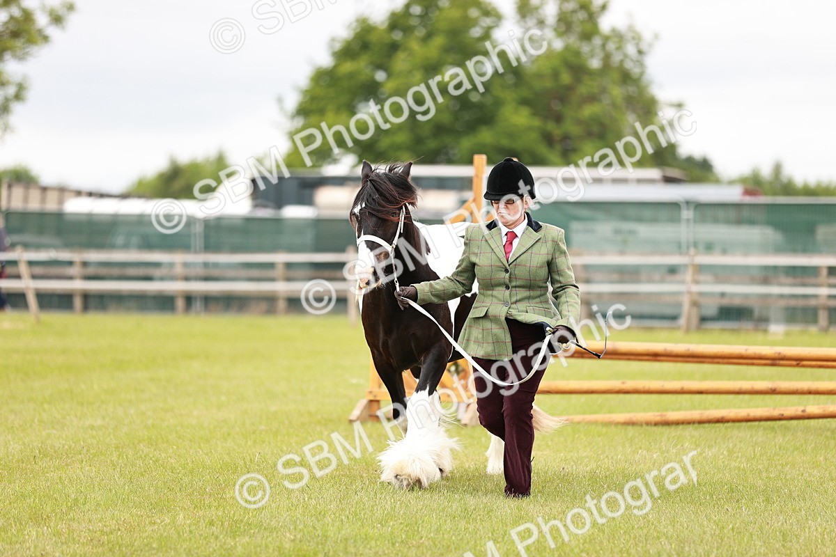 SBM_05983 - Class 39-41 TGCA In Hand and Ridden