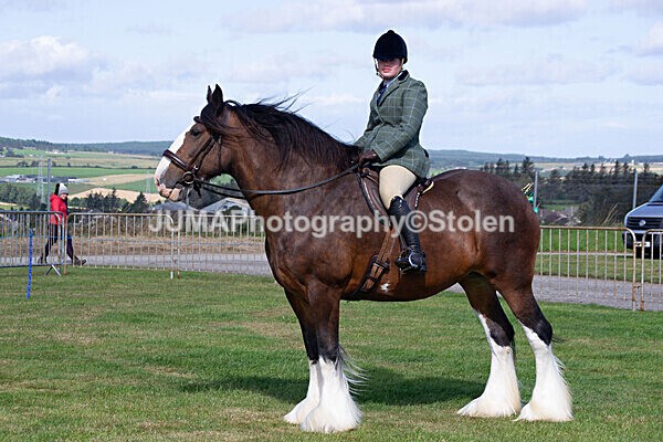 DSC_0250 - Ring 1