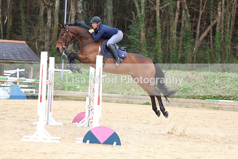 3E7A7846 - Class 9: Senior Foxhunter/1.20 open