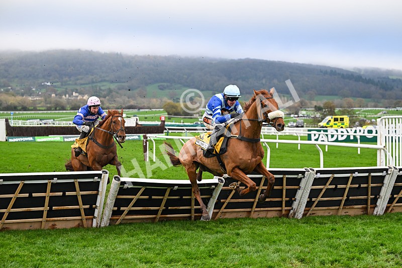 151125-Race 1-One Horse Town-2084 - Race 1