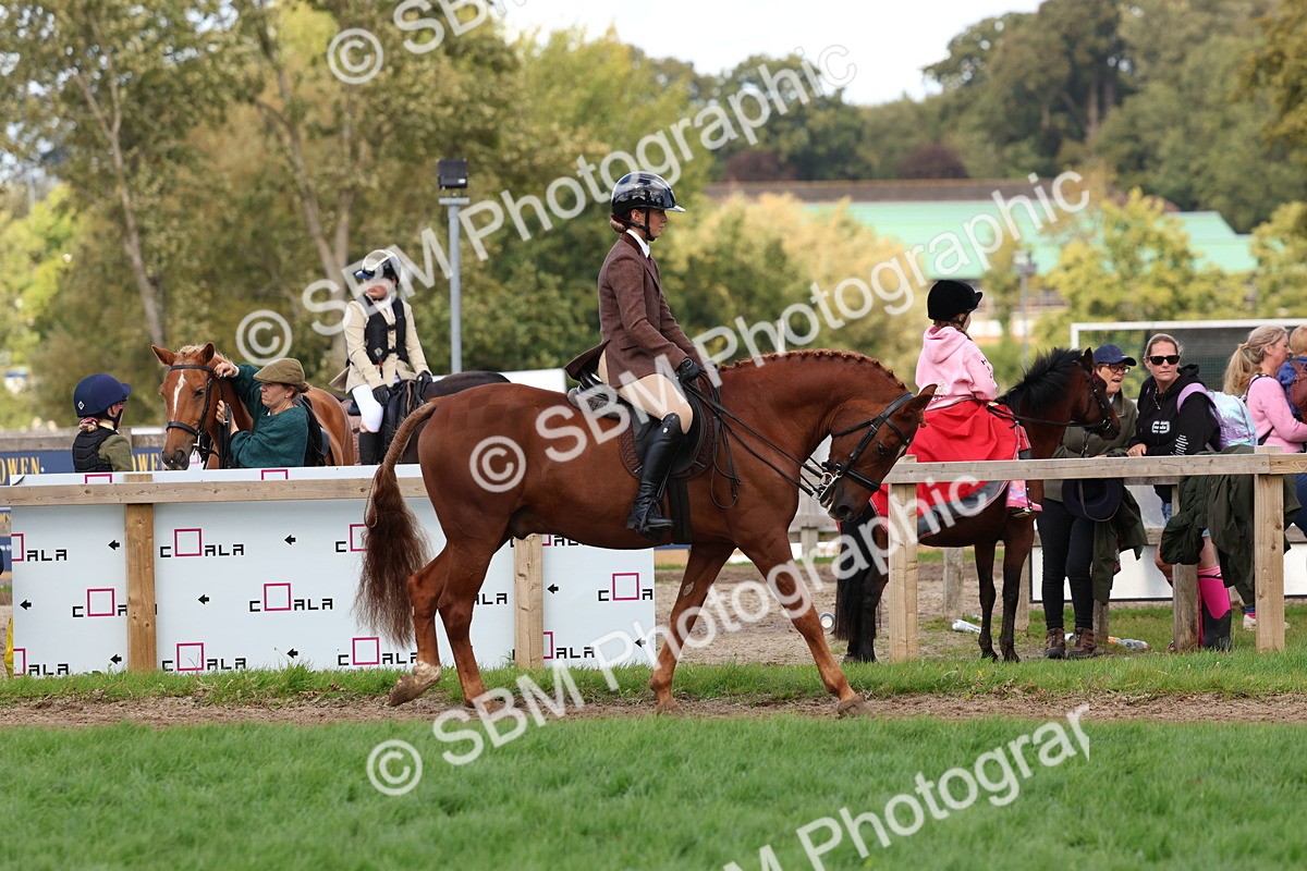 SBM_47602 - S28 - Veteran Ridden