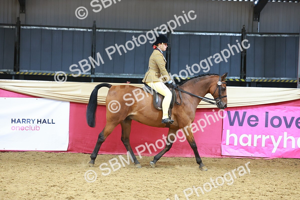 SBM_12403 - Class 103 - HOYS Veteran Qualifier - Ridden Pre Vet
