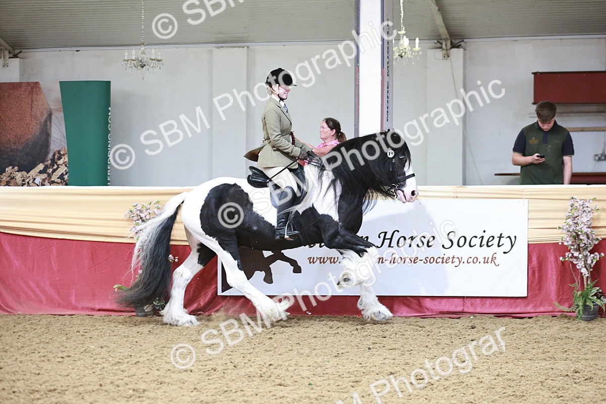 SBM_08652 - Regional Ridden Champ