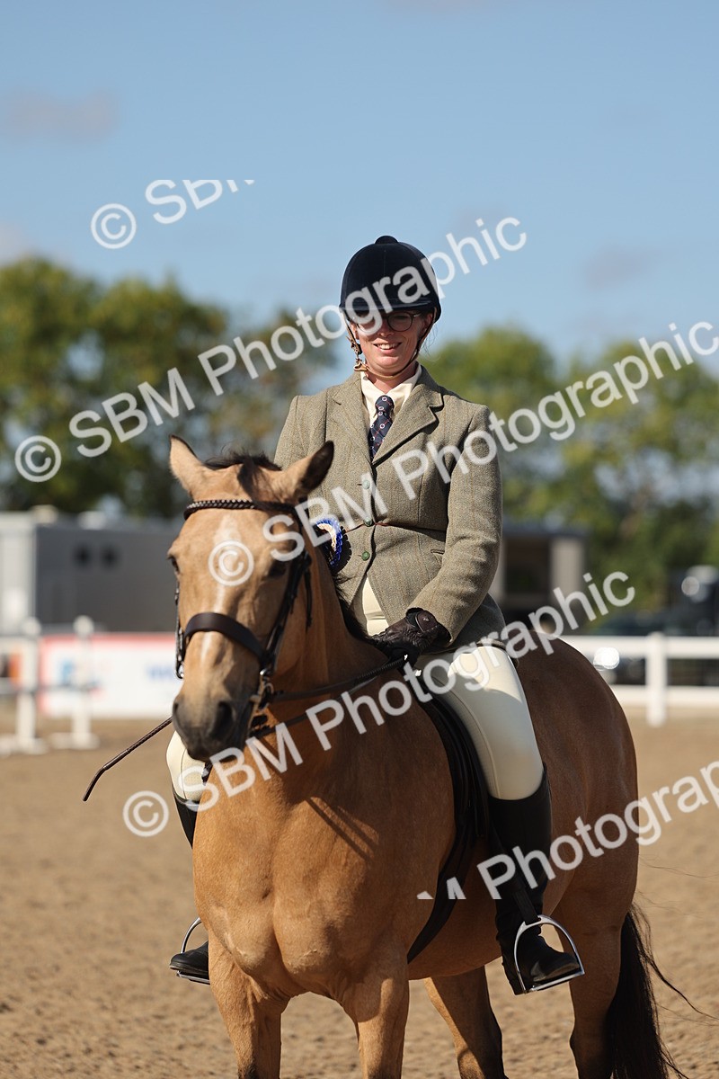 SBM_22642 - Class 804 - Ridden Veteran Pony